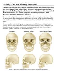 Nose / Head and neck / Nasal bone / Human skull / Nasal cavity / Sub-Saharan Africa / Skull / Rhinoplasty / Anthropometry / Anatomy / Human anatomy / Human body