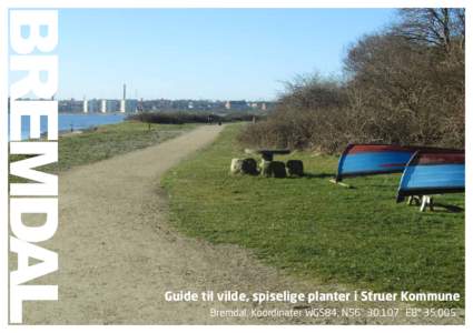 BREMDAL  Guide til vilde, spiselige planter i Struer Kommune Bremdal. Koordinater WGS84, N56° 30,107` E8° 35,005`  Hvorfor sanke?