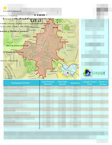 MARKET PROFILE  Brownsville Road Commercial District Knoxville / Mount Oliver 2015 Business Summary (2 Minute Drive Time)