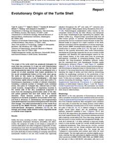 Please cite this article in press as: Lyson et al., Evolutionary Origin of the Turtle Shell, Current Biology (2013), http://dx.doi.org[removed]j.cub[removed]Current Biology 23, 1–7, June 17, 2013 ª2013 Elsevier L