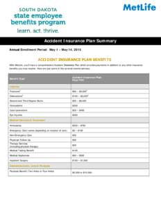 Microsoft Word - Accident Plan Summary_State of South Dakota v3