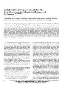 Evolutionary Convergence of Cell-Speciﬁc Gene Expression in Independent Lineages of C4 Grasses1[W][OPEN] Christopher R. John, Richard D. Smith-Unna, Helen Woodﬁeld, Sarah Covshoff, and Julian M. Hibberd* Department o