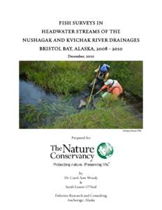 FISH SURVEYS IN HEADWATER STREAMS OF THE NUSHAGAK AND KVICHAK RIVER DRAINAGES BRISTOL BAY, ALASKA, December, 2010