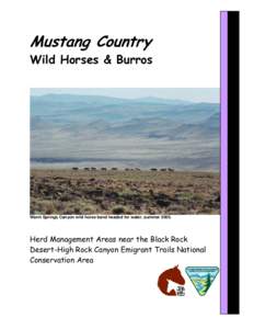 Agriculture / Mustang horse / Burro / Bureau of Land Management / Velma Bronn Johnston / Sheldon National Wildlife Refuge / Horse / Feral / American bison / Feral horses / Equidae / Zoology