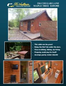 334 COUGAR LANE MAPLE TREE $109,900   This cabin can be yours!