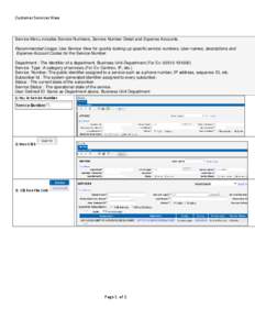 Customer Services View  Service Menu includes Service Numbers, Service Number Detail and Expense Accounts. Recommended Usage: Use Service View for quickly looking up specific service numbers, User names, descriptions and