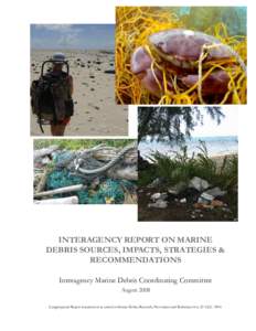 INTERAGENCY REPORT ON MARINE DEBRIS SOURCES, IMPACTS, STRATEGIES & RECOMMENDATIONS Interagency Marine Debris Coordinating Committee August 2008