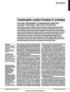 Autotrophic carbon fixation in archaea