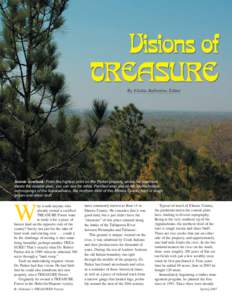 By Elishia Ballentine, Editor  Scenic overlook: From the highest point on the Parker property where the piedmont meets the coastal plain, you can see for miles. Perched atop one of the southernmost outcroppings of the Ap