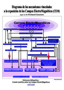 Diagrama de los mecanismos vinculados a la exposición de los Campos ElectroMagnéticos (CEM) (por le Dr Richard Gautier) Campos ElectroMagnéticos Despolimerización de los filamentos de actina