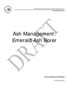 Buprestidae / Emerald ash borer / Matter / Fraxinus / Biology / Energy / Ash Borer / Ash / Firewood / Biomass / Wood / Medicinal plants