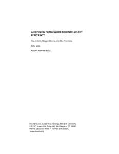 A DEFINING FRAMEWORK FOR INTELLIGENT EFFICIENCY Neal Elliott, Maggie Molina, and Dan Trombley June 2012 Report Number E125