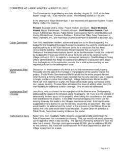 COMMITTEE-AT-LARGE MINUTES: AUGUST 20, 2012 The Committee-at-Large Meeting was held Monday, August 20, 2012, at the New Baden Village Hall, 1 East Hanover Street. The meeting started at 7:00 p.m. In the absence of Mayor 