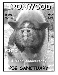 Ironwood / Domestic pig / Biology / Zoology / Geography of the United States / Ironwood Pig Sanctuary / Ironwood /  Michigan / Pot-bellied pig