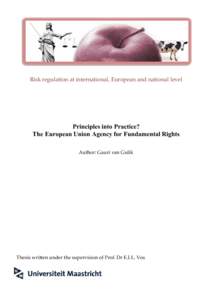 Risk regulation at international, European and national level  Principles into Practice? The European Union Agency for Fundamental Rights Author: Gauri van Gulik