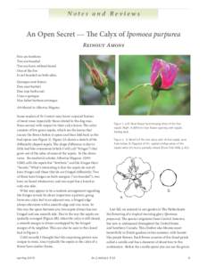 Notes and Reviews  An Open Secret — The Calyx of Ipomoea purpurea Reinout Amons Five are brethren Two are bearded