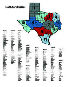 State governments of the United States / Dimmit County /  Texas / Texas / Texas Association of Regional Councils / Texas Courts of Appeals