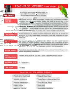 PEACHFACE LOVEBIRD care sheet Do not feed fruit seeds, avocados, caffeine or alcohol. Bird owners should avoid non-stick cookware and appliances as they can release fumes hazardous to your birds health.  CAGING