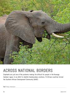 Across national borders Elephants are just one of the problems making life difficult for people in the Kavango Zambezi region. In an effort to identify transboundary solutions, 15 African countries formed the Southern Af