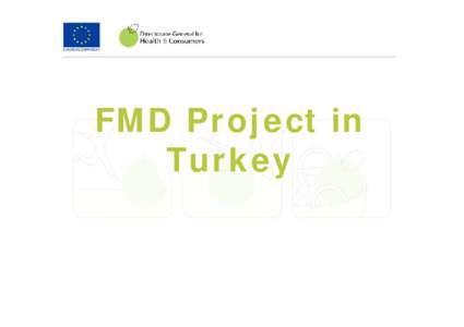 FMD Project in Turkey FMD is endemic in Turkey (types A and O and new type O variant).