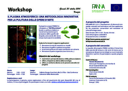 Workshop  Giovedì 30 ottobre 2014 Venezia  IL PLASMA ATMOSFERICO: UNA METODOLOGIA INNOVATIVA
