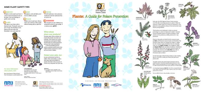 CASTOR BEAN (Ricinus communis) Annual bush SOME PLANT SAFETY TIPS 1. IDENTIFY