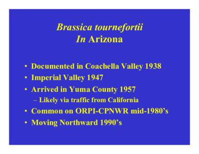 Brassica tournefortii In Arizona • Documented in Coachella Valley 1938 • Imperial Valley 1947 • Arrived in Yuma County 1957 – Likely via traffic from California