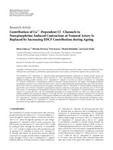 Contribution of Ca2+-Dependent Cl− Channels to Norepinephrine-Induced Contraction of Femoral Artery Is Replaced by Increasing EDCF Contribution during Ageing