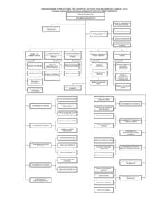 ORGANIGRAMA ESTRUCTURAL DEL HOSPITAL IQUITOS 