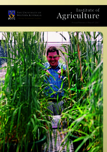 Institute of  Agriculture Annual Research Report 2007