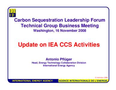 International Energy Agency / Technology / Climate change / Chemical engineering / IEA Greenhouse Gas R&D Programme / Carbon Sequestration Leadership Forum / Clean coal / World Energy Outlook / Renewable energy / Energy economics / Energy / Energy policy