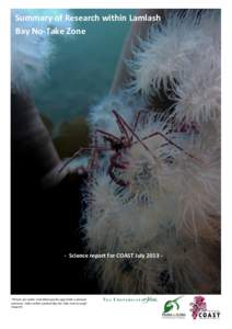 Summary of Research within Lamlash Bay No-Take Zone - Science report for COAST July 2013 -  *Picture of a spider crab (Macropodia spp) inside a plumose