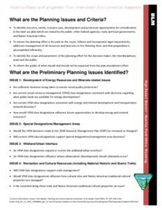 Rawlins Resource Management Plan Amendment Environmental Assessment What are the Planning Issues and Criteria?  To identify concerns, needs, resource uses, development and protection opportunities for consi