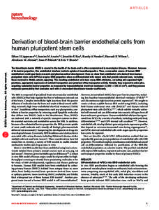 Articles  Derivation of blood-brain barrier endothelial cells from human pluripotent stem cells  © 2012 Nature America, Inc. All rights reserved.