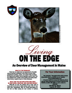 Photo by Clemens Nolke, via Flickr; Used with permission.  Living ON THE EDGE  An Overview of Deer Management in Maine