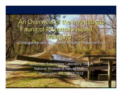 An Overview of the Invertebrate Fauna of Plummers Island, Maryland