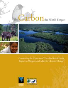 Forests / Ecosystems / Habitats / Conservation / Trees / Taiga / Boreal Forest Conservation Framework / Peat / Old-growth forest / Environment / Physical geography / Earth
