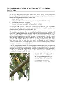 Use of bee-eater birds in monitoring for the Asian honey bee