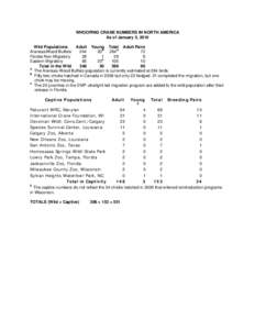 WHOOPING CRANE NUMBERS IN NORTH AMERICA As of January 5, 2010 Wild Populations Adult Young Total Adult Pairs 72 Aransas/Wood Buffalo