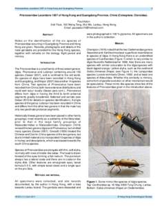 Prionoceridae Lacordaire 1857 of Hong Kong and Guangdong Province  2 Prionoceridae Lacordaire 1857 of Hong Kong and Guangdong Province, China (Coleoptera; Cleroidea). Paul Aston