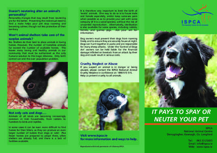 Doesn’t neutering alter an animal’s personality? Personality changes that may result from neutering are for the better. Preventing the instinctual need to find a mate helps your pet stop roaming and becoming calmer; 