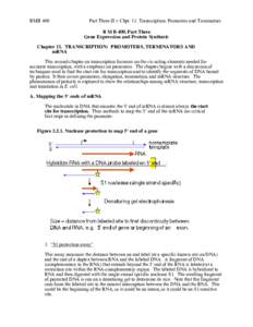 BMB 400  Part Three-II = Chpt. 11. Transcription: Promoters and Terminators B M B 400, Part Three Gene Expression and Protein Synthesis