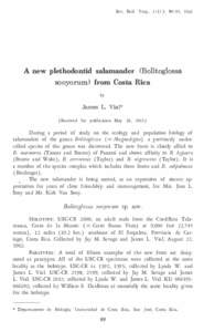 Rev. Biol. Trop., i 1 ( 1 ) : 89-97,. [removed]A new plethodontid salamander ( Bolitoglossa