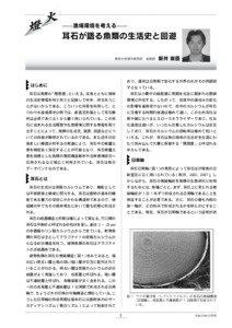 Main Belt asteroids / Tsukamoto / Otolith / Japanese eel / Anguillidae / Fish / Fish anatomy