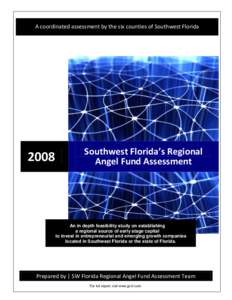 Southwest Florida’s Regional Angel Fund Assessment