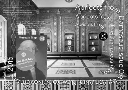 This artwork is produced on the occasion of Apricots from Damascus http://apricotsfromdamascus.net Apricots from Damascus is an apexart Franchise Exhibition organized by Atıf Akın and Dilek Winchester. For more informa
