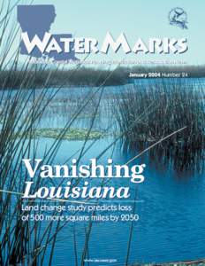 WATER MARKS Louisiana Coastal Wetlands Planning, Protection and Restoration News January 2004 Number 24  Vanishing
