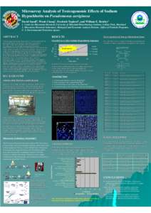 Microarray Analysis of Toxicogenomic Effects of Sodium Hypochlorite on Pseudomonas aeriginosa David Small1, Wook Chang1, Freshteh Toghrol2, and William E. Bentley1 1. Center for Biosystems Research, University of Marylan