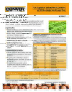 CON PNT 1601.qxp_1:02 AM Page 1  For Superior, Economical Control of White Mold and Limb Rot PEANUTS CONVOY® fungicide delivers powerful, cost-effective white mold