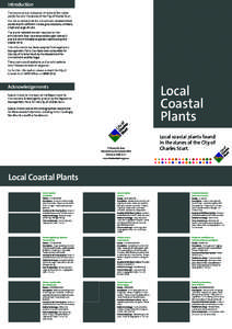 Introduction This brochure is an indication of some of the native plants found in the dunes of the City of Charles Sturt. It is not an exhaustive list, but contains representative plants that fill different niches; groun